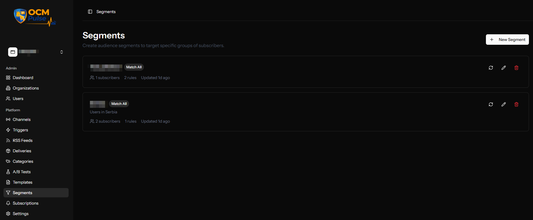 The Segments dashboard showing existing audience segments